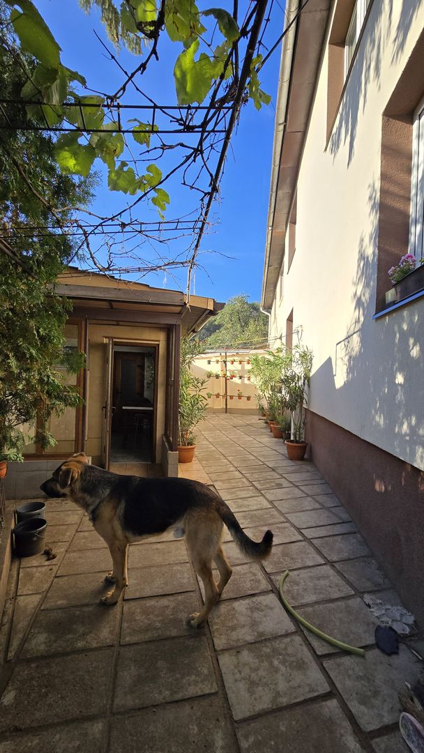 Casă spațioasă cu 6 camere în Triaj preț ajustat - COMISION 0%🌿🏡 - Poză 24