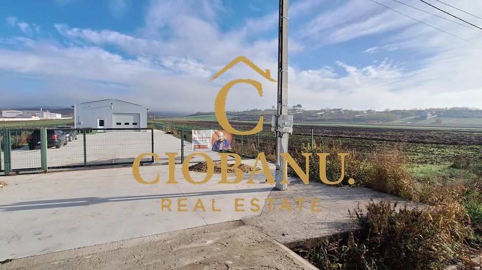 Hala de vanzare in Racarii de Jos - Poză 16