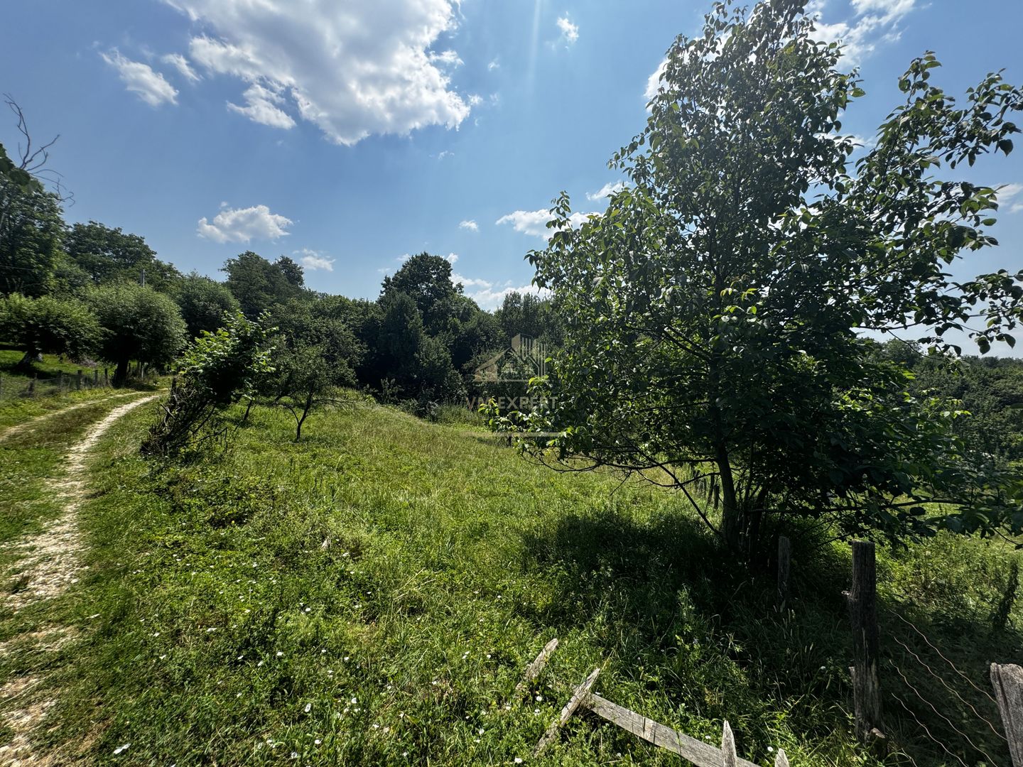 TEREN INTRAVILAN 2146 MP, ALBESTII DE MUSCEL, ARGES - Poză 4