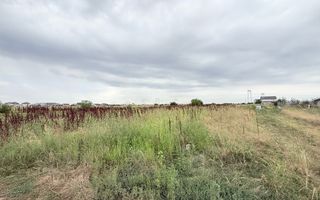 Teren intravilan 5000 mp parcelabil / oportunitate de investiție ! - Poză 8