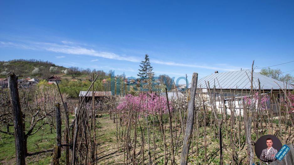 Casă și teren de vânzare, sat Buda, Blăgești, Bacău - Poză 31