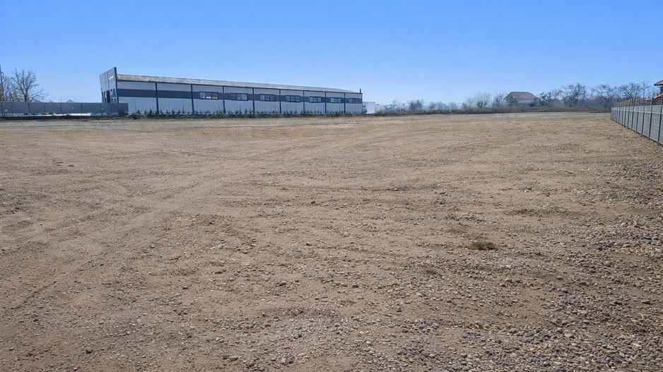 Teren 4.000 mp – Letea Veche - Poză 2