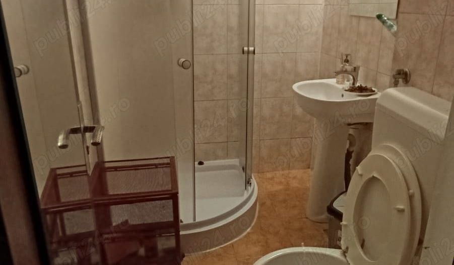 Apartament 1 camera Dristor Liviu Rebreanu - Poză 7