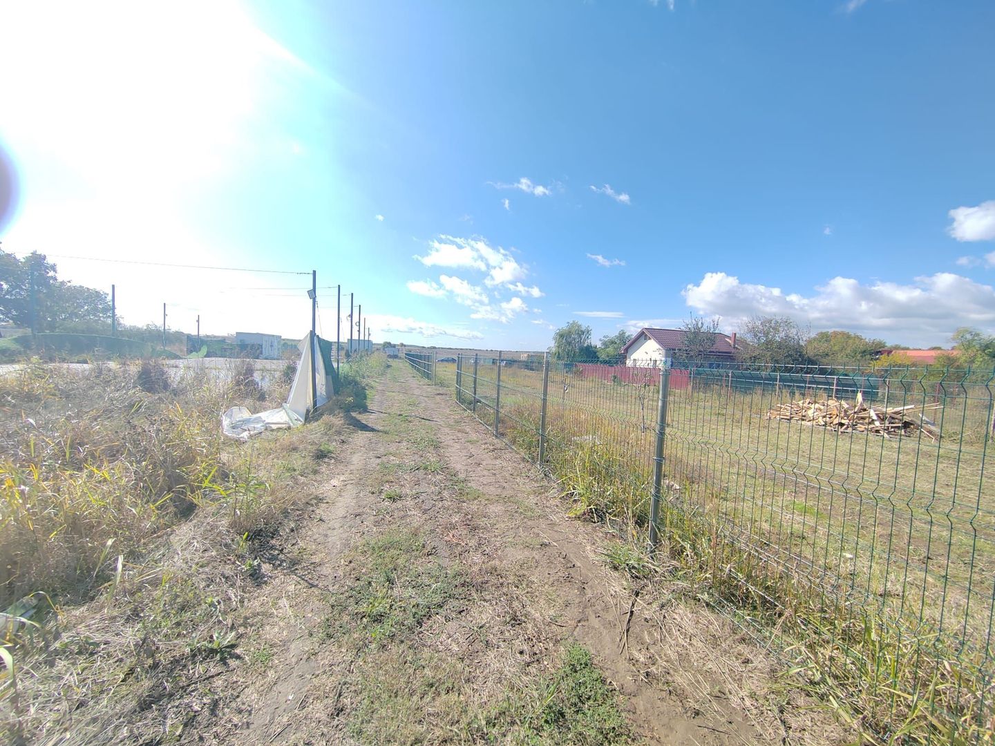 Gagu Dascalu teren ideal pentru investitie zona in dezvoltare - Poză 4