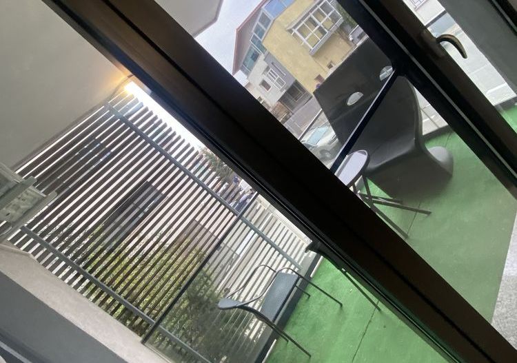 Apartament 2 camere | Herastrau - Poză 7