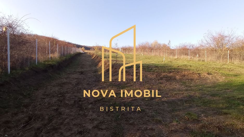 Teren Viisoara 27 ari - Poză 7