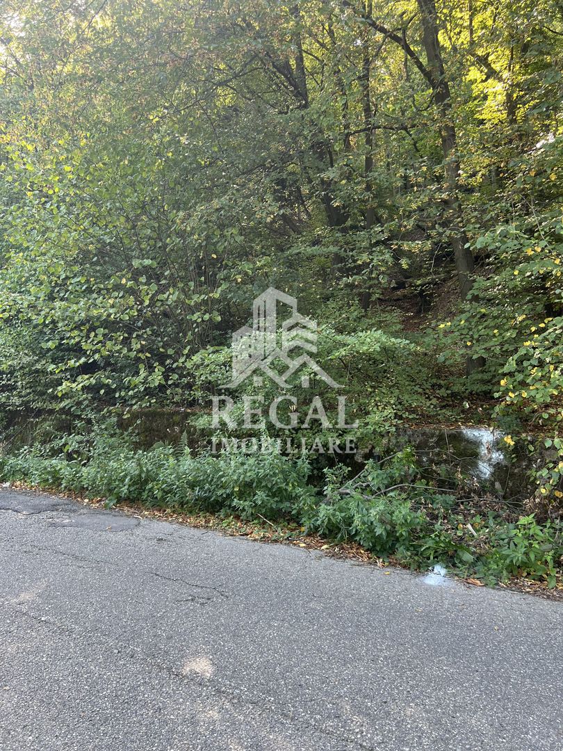 Teren extravilan de vânzare – Lacul Cinciș - Poză 7