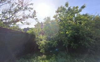 Teren 664 mp | Front 22 ml | Mehala | Ideal Casă sau Duplex - Poză 5