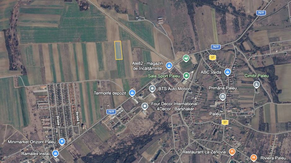 Teren extravilan de vânzare în Paleu - Poză 1