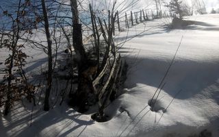 teren intravilan in zona Magura Bran - Poză 5
