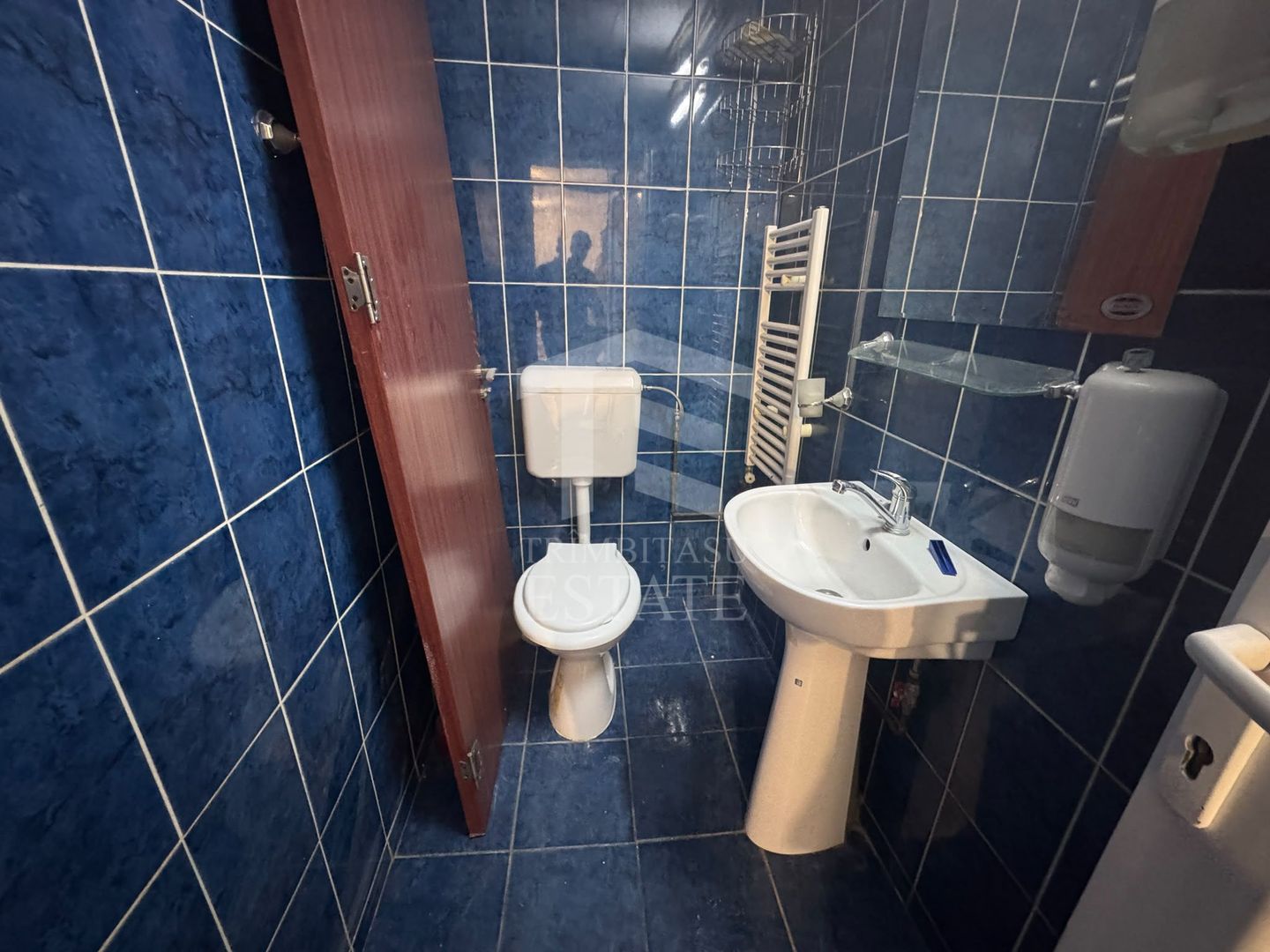 Spatiu Comercial Stradal Calea Vacaresti | VAD Vitrina 8 m - Poză 6