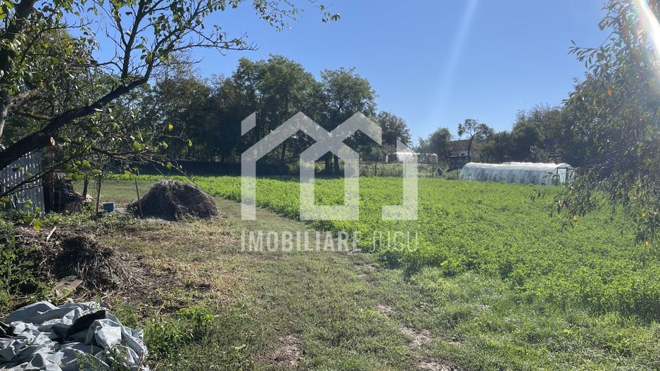 Teren Intravilan 1000mp - Jucu de Sus - Poză 3