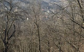 Teren intravilan 2788 mp deschidere 55 ml cu vedere panoramica ! - Poză 20