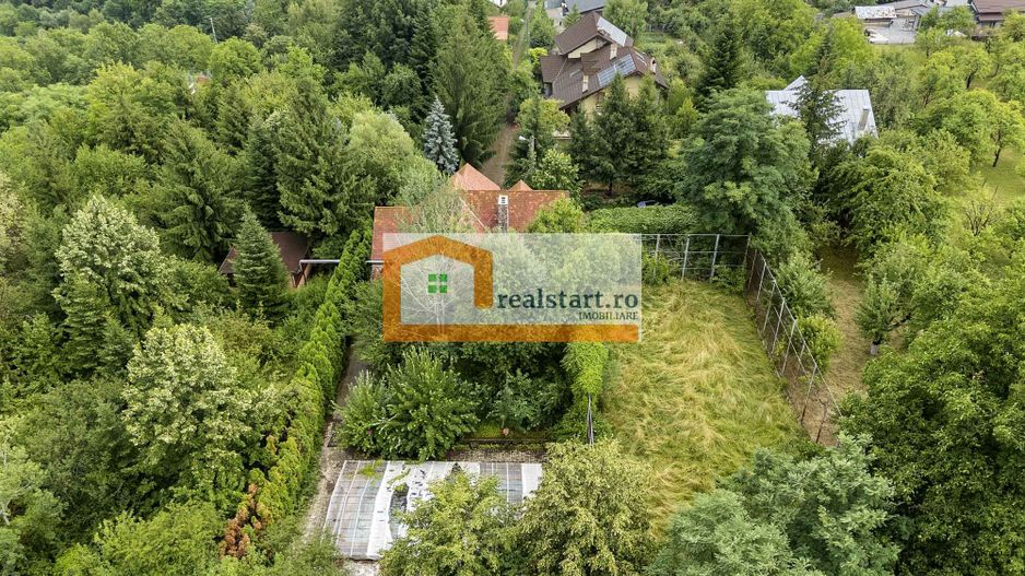 Vedere directa la Padure, 5000mp teren, Vila D+P+1E+M, semineu, foisor - Poză 48