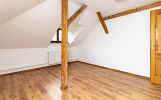 Inchiriere - Rezidenta/Birouri - Vila cu curte - Aviatorilor - Poză 26