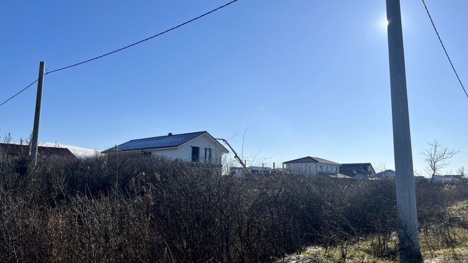 TEREN MOSNITA VECHE - Poză 2