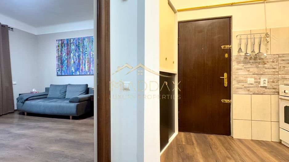 Apartament cu 2 camere in Vila *Parter* // Parcul Carol - Poză 9