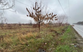 Teren la DN7 - ideal investitie (Benzinarie, spalatorie, hala, rezidential) - Poză 9