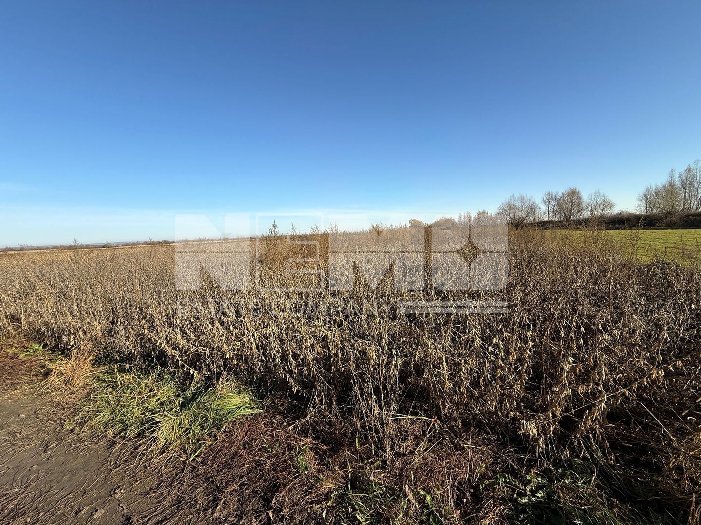 TEREN EXTRAVILAN | 35 ARI | HORODNIC DE JOS | - Poză 6