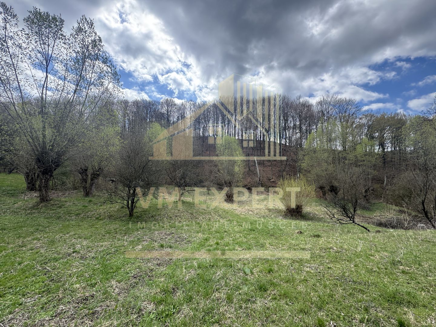 TEREN INTRAVILAN 4365 MP POENARII DE MUȘCEL  JUDEȚUL ARGES - Poză 14