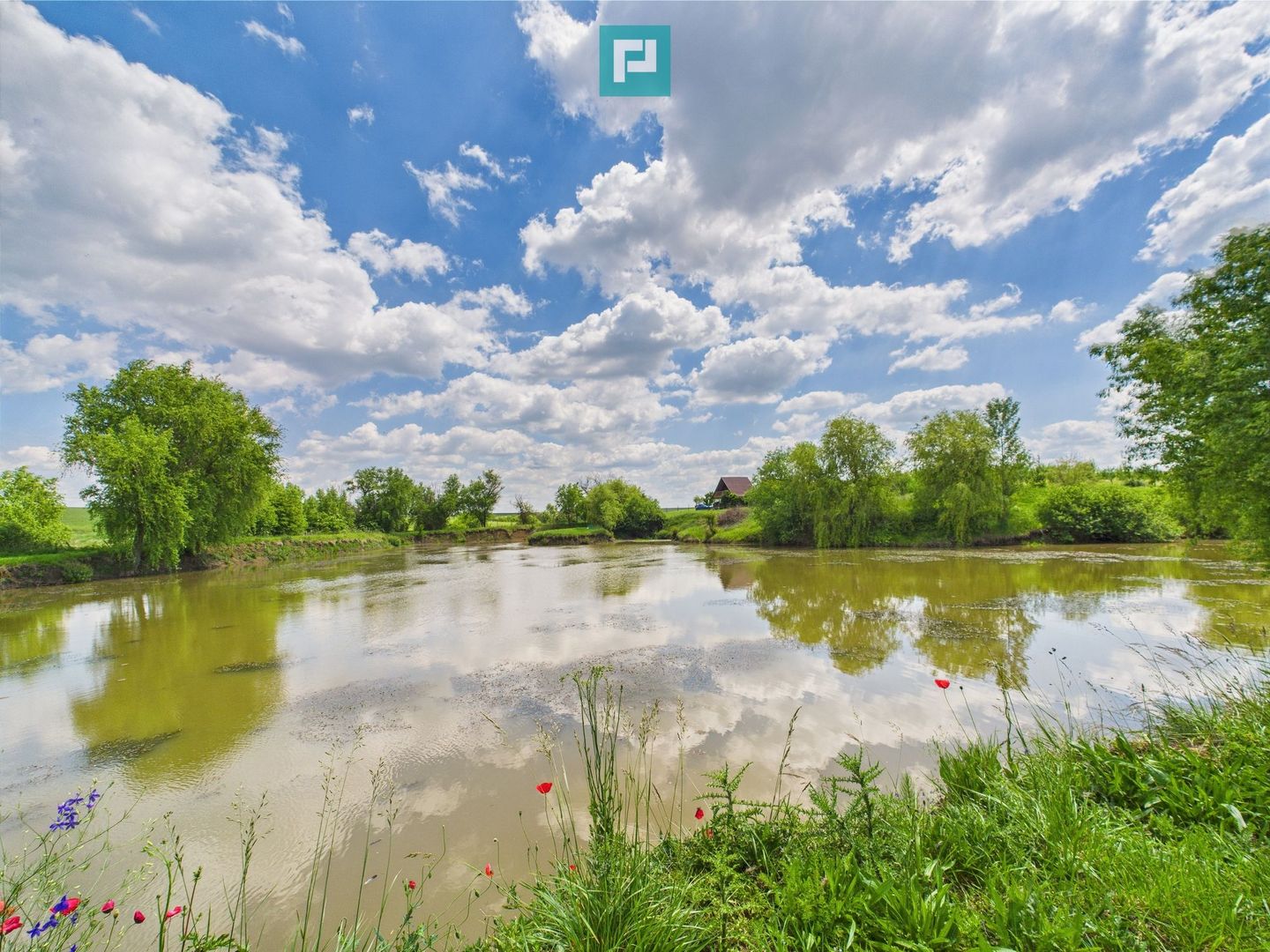 Teren cu baltă- oportunități multiple la Fibiș - Poză 16