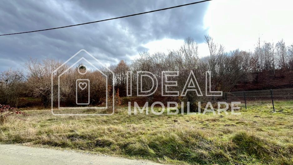 Teren extravilan 1030 mp, Cârțișoara - Poză 2