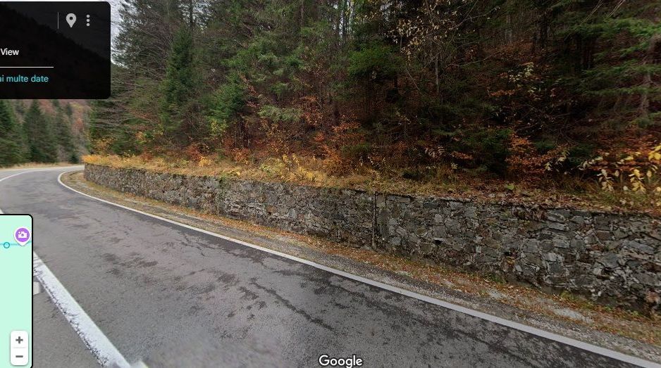 TEREN EXTRAVILAN PADURE PISCUL NEGRU ARGES - Poză 4