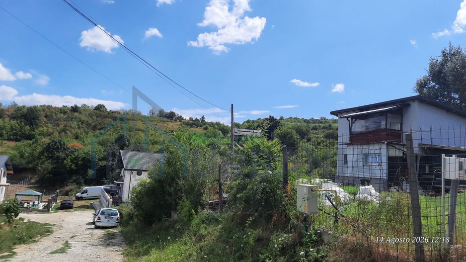 Teren 10.000 mp în Tomesti, zona Vladiceni – oportunitate de investiție - Poză 5