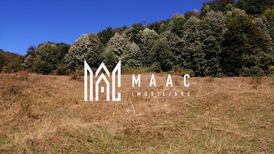 Teren Extravilan 20.000Mp I Stoenești -Vâlcea I Apă Curentă și Pădure - Poză 12