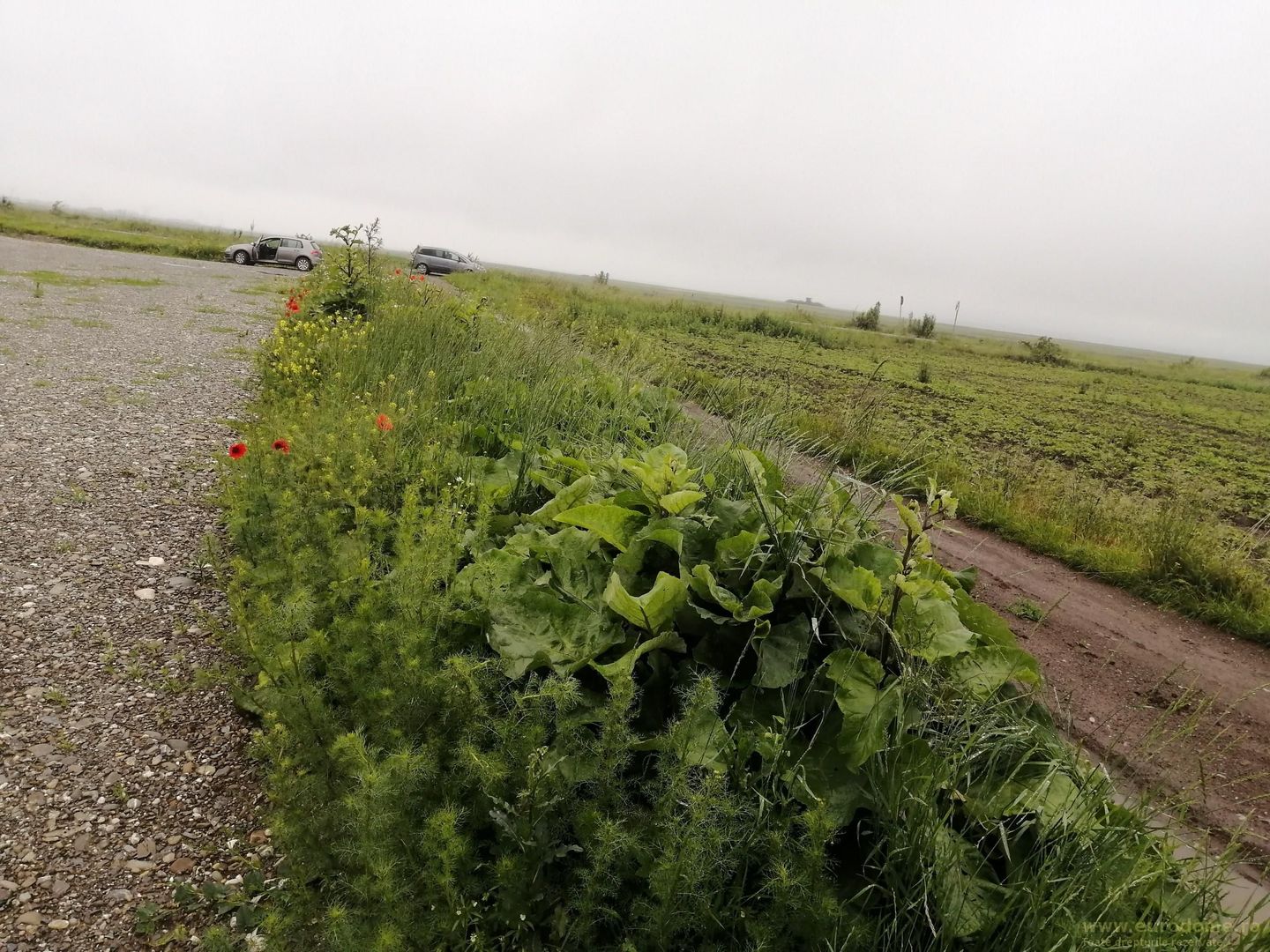 Teren la DN Brașov-Tărlungeni - Poză 6