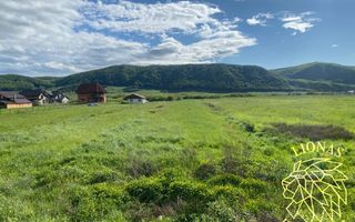 Teren intravilan-Crainimat -3000mp-ideal investitie construire casa - Poză 3