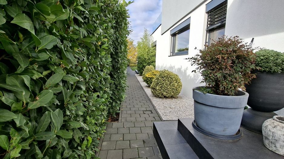 Casa mobilata si utilata cu teren de 432mp - Poză 35