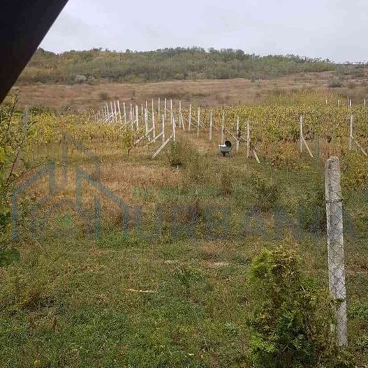 Teren intravilan de vânzare - 6200mp, pădure în apropiere - Poză 6