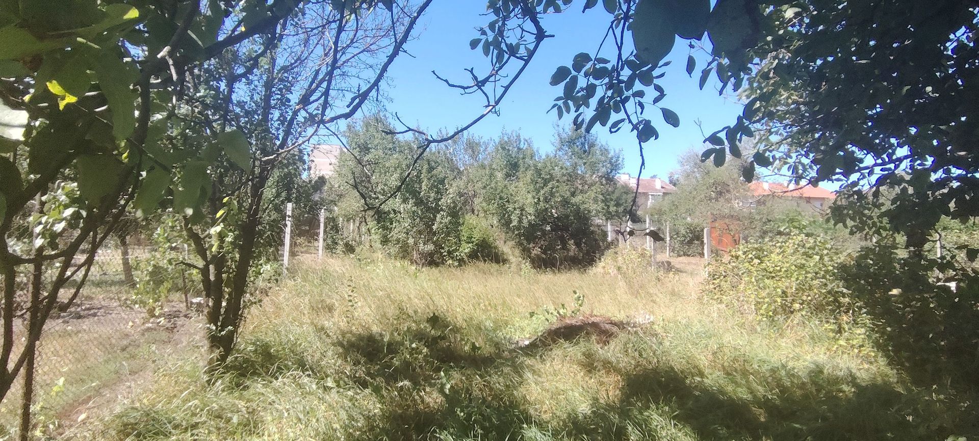 De vânzare casă cu 5 camere, Agnita, str. Horea - Poză 5
