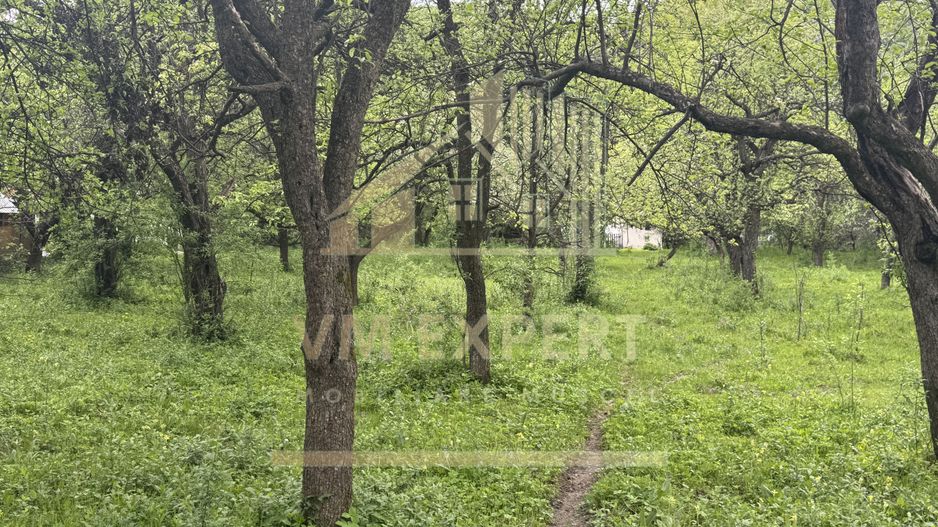 TEREN INTRAVILAN 7018 MP CAMPULUNG - Poză 32