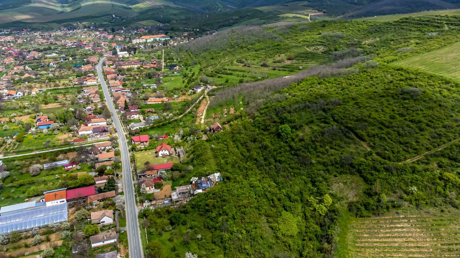 4.300 mp teren pe deal împădurit la Miniș - Poză 7