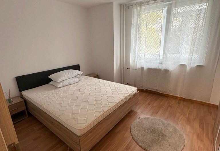 Apartament 2 camere, 65 mp, ParkLake, pet friendly - Poză 2