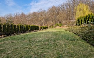 Casa din lemn D+P+M de 400 mp utili si teren 3.000 mp zona Faget - Poză 6