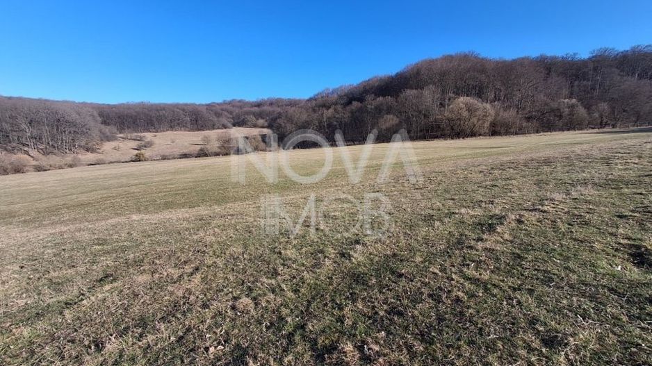 Ferma complet echipata de vanzare – zona Agnita, judetul Sibiu - Poză 3
