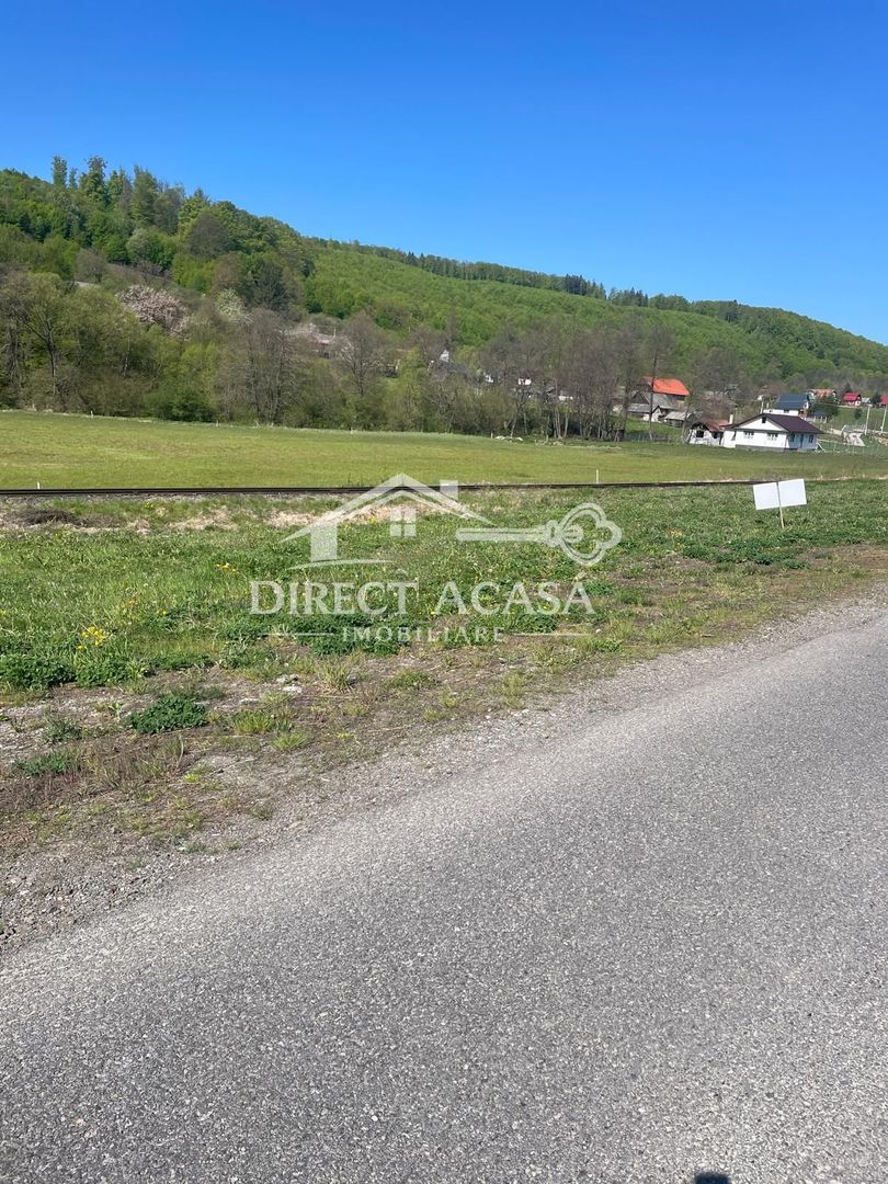 Teren intravilan 8900 mp-Sacadat-Sovata - Poză 3