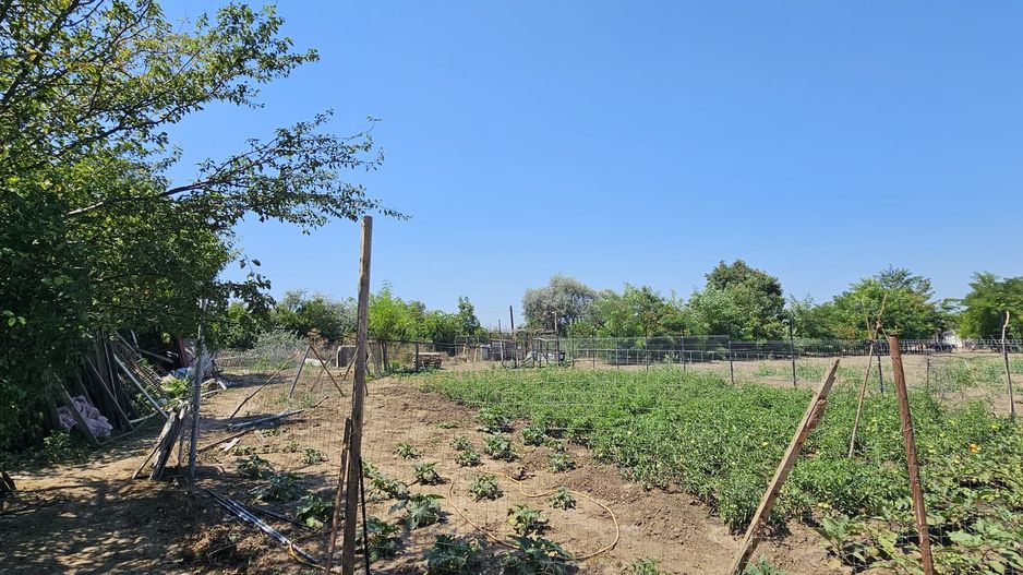 Teren intravilan 641 mp Eforie Nord – 38.000 € | Comision 0% - Poză 5
