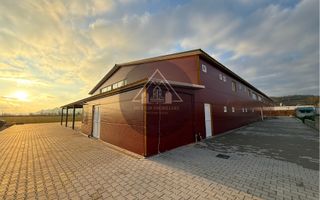 Hală de inchiriat, Medias - Poză 3