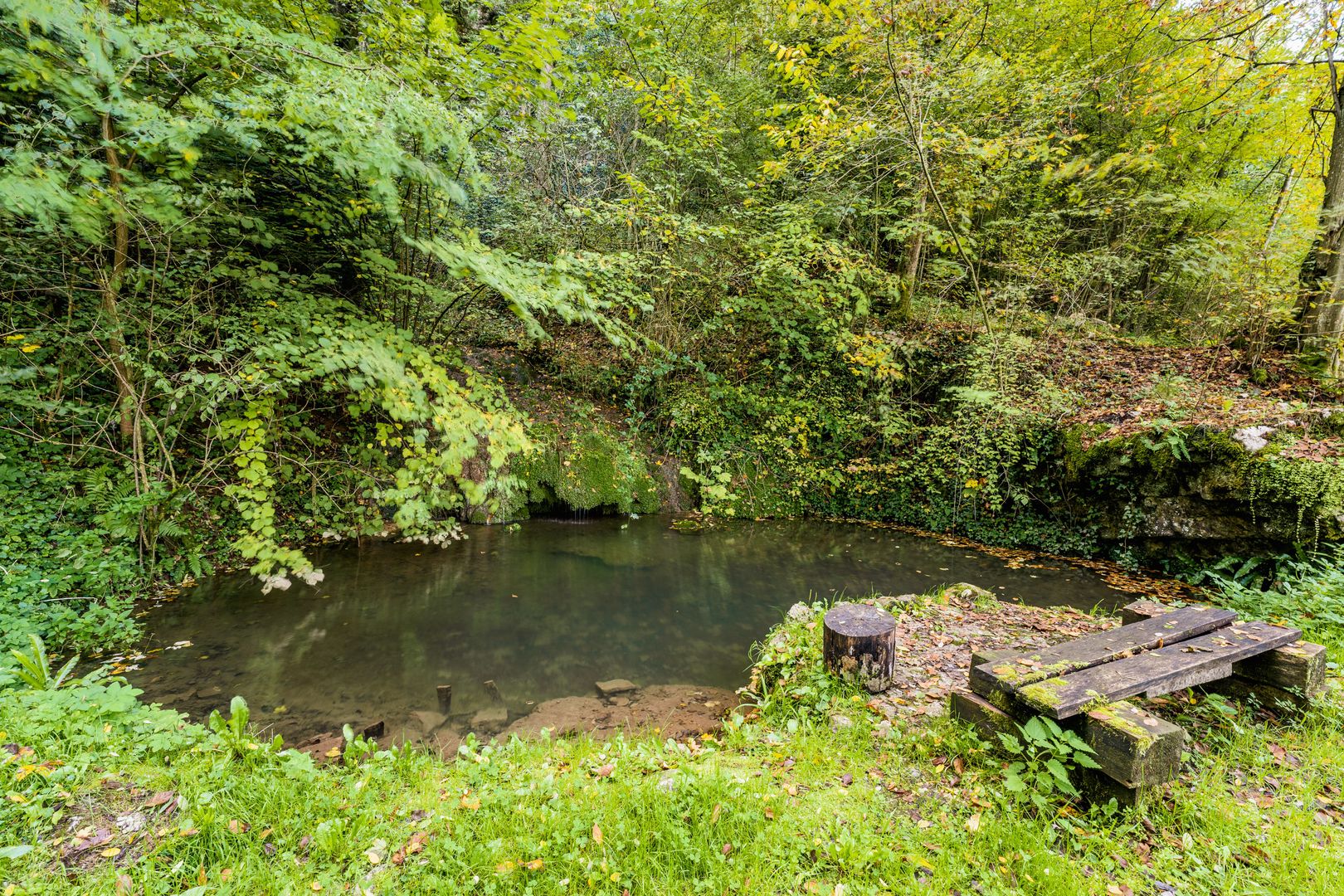 Domeniu în satul Căprioara - Poză 26