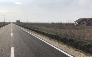 TEREN DUDESTII NOI - Poză 2