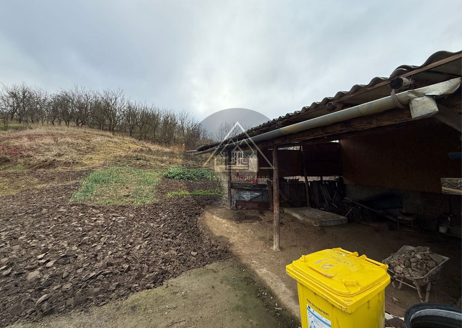 Casa 3 camere, Medias - Poză 19