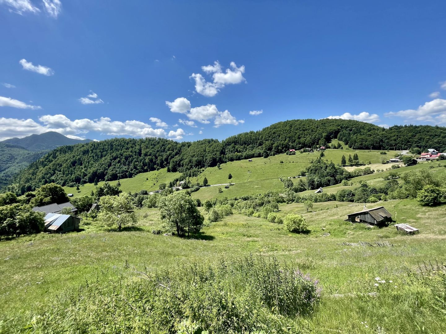 Teren cu vedere panoramică de vânzare | Podu Dâmboviței, Comuna Dâmbovicioara - Poză 6