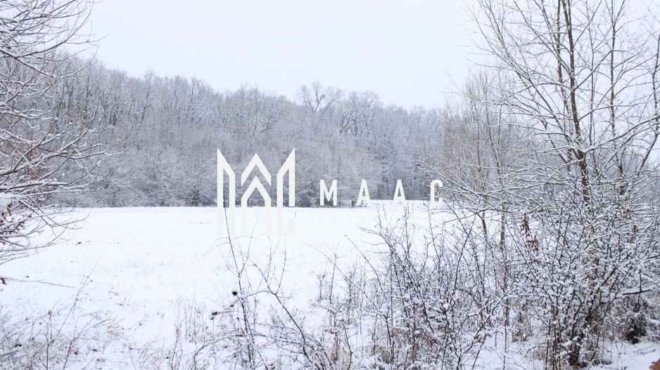 Super oferta I teren intravilan de vanzare in Cisnadie - Poză 8