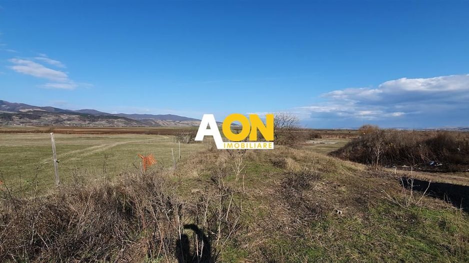 Teren industrial 44.200 mp, Vințu de Jos, Oportunitate de investitie - Poză 2