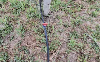 Teren intravilan cu PLANTATIE DE GOJII de vanzare in Racari - Poză 14
