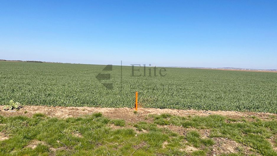 Teren 20.141 mp de vanzare in zona Aeroportului Oradea - Poză 7